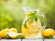 THE LEMONS : BODY DETOXIFIER
