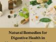 Natural Remedies for Digestive Health in Naturopathic Perspective