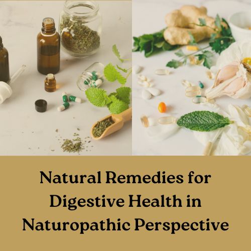 Natural Remedies for Digestive Health in Naturopathic Perspective