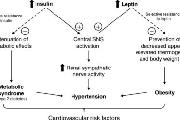 How to reverse diabetes​ Without Medicine